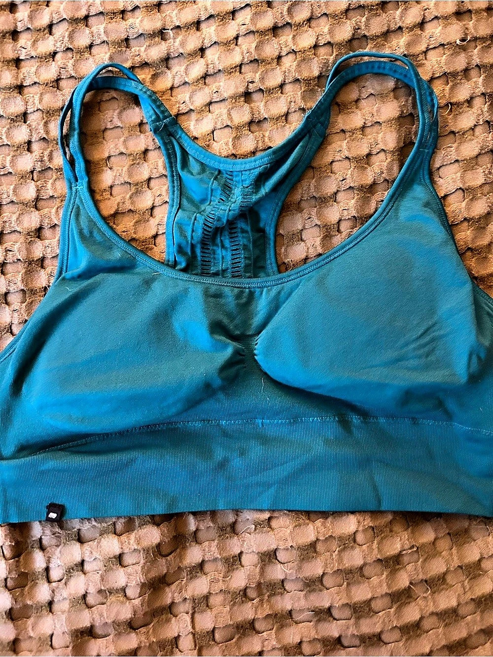 Fabletics Blue Sports Bra